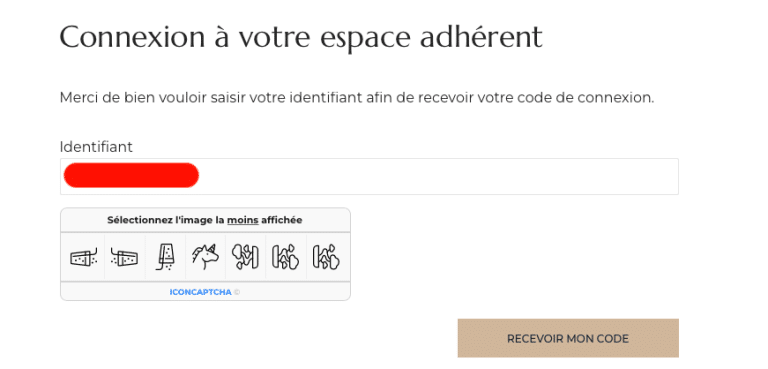 Capture d'écran écran sélection captcha